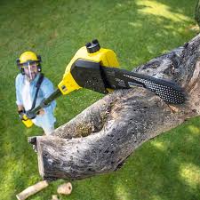 Best Grass Overseeding  in Freeport, NY